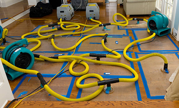 Professional Water Extraction technician working in Vienna, WV